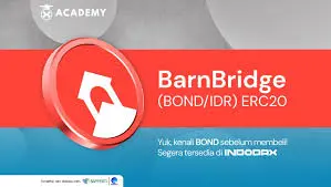 BarnBridge